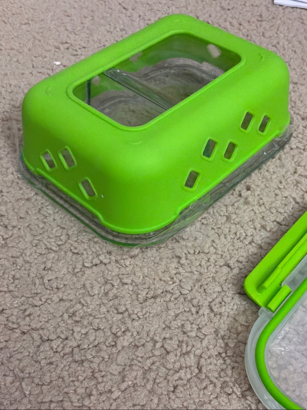 Green Plastic Storage Container with Lid - Home Organization - Picture 5 of 6